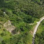 listing image thumbnail with ID 66156