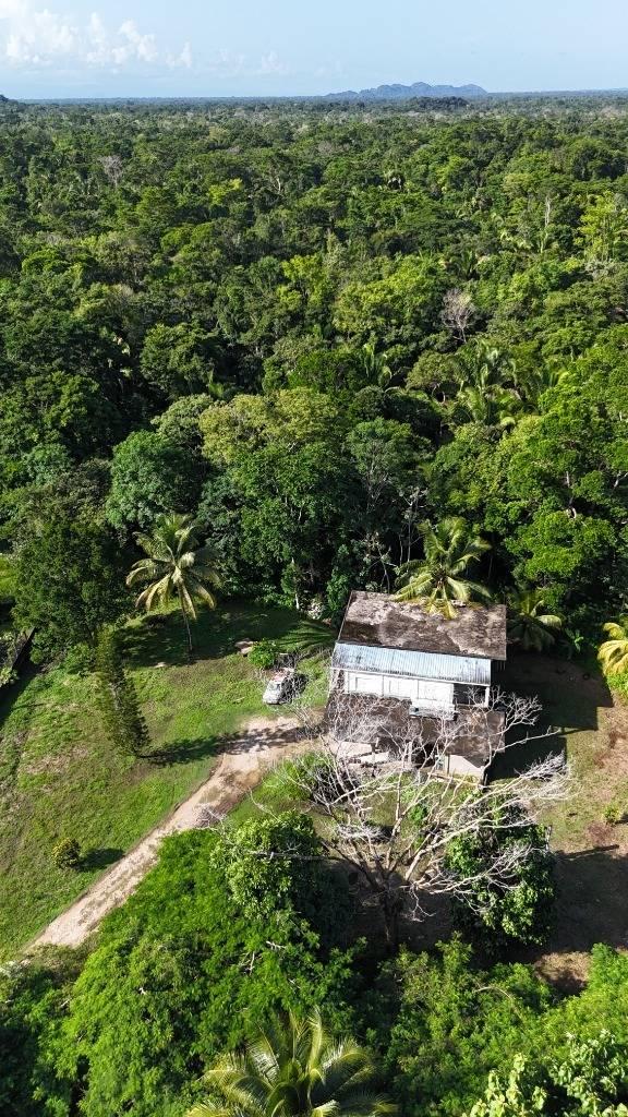 listing image with ID 63891