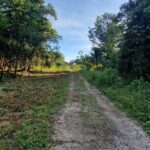 listing image thumbnail with ID 64038