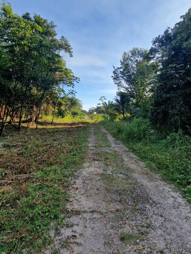 listing image with ID 64038