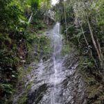 listing image thumbnail with ID 63914