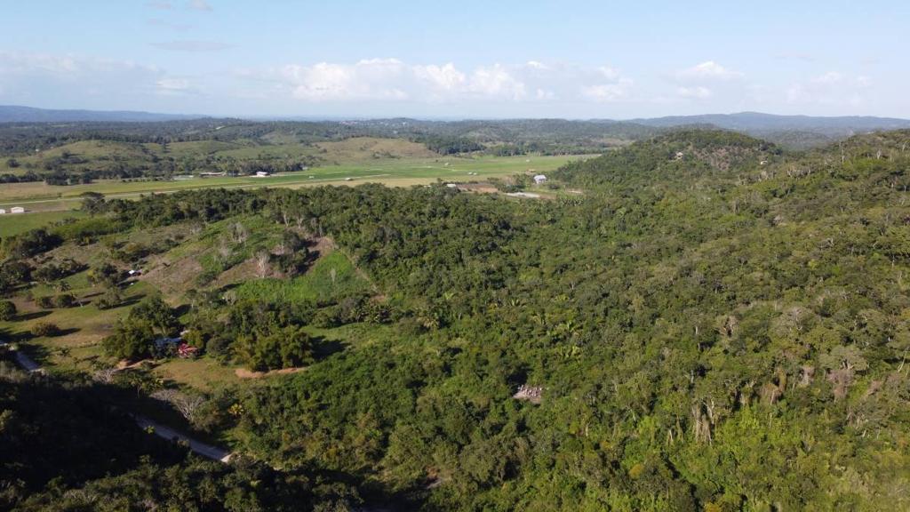 listing image with ID 67574