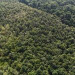 listing image thumbnail with ID 68069