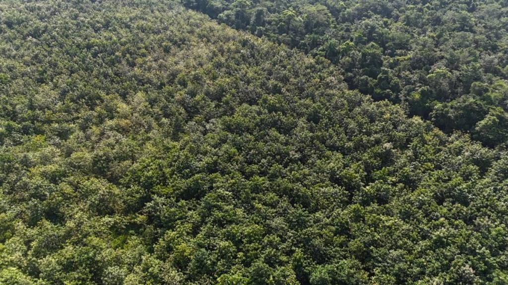 listing image with ID 68069