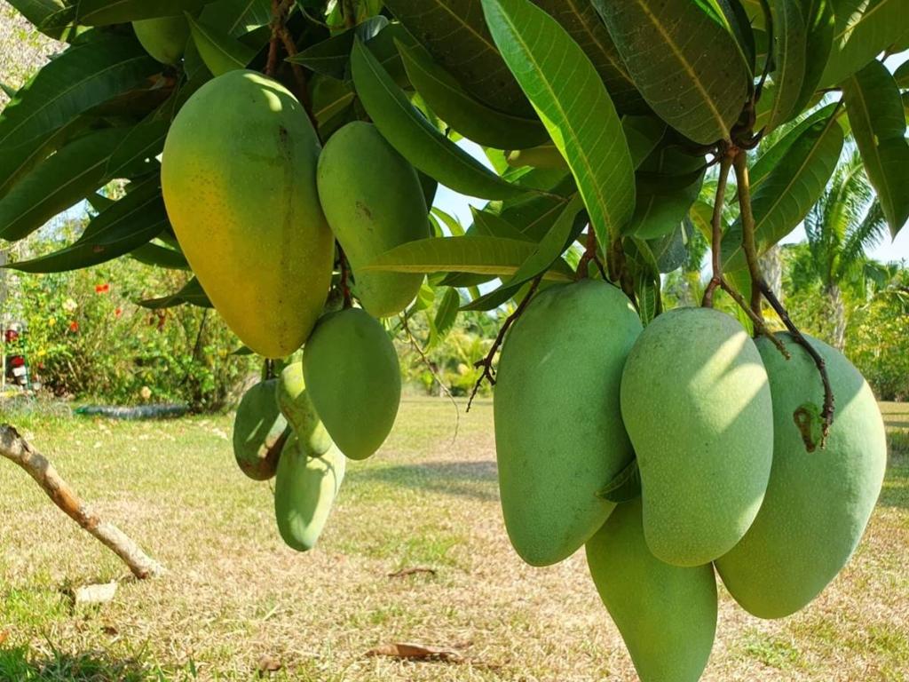 listing image with ID 67792