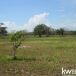 listing image thumbnail with ID 69358