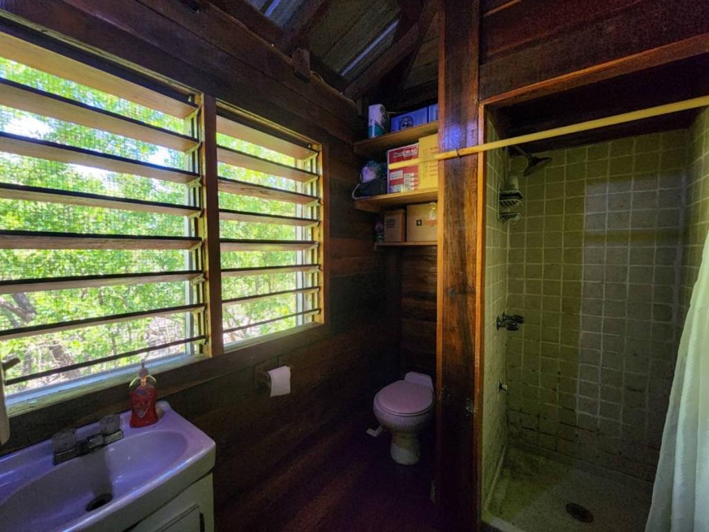 listing image with ID 65940