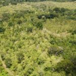 listing image thumbnail with ID 64226