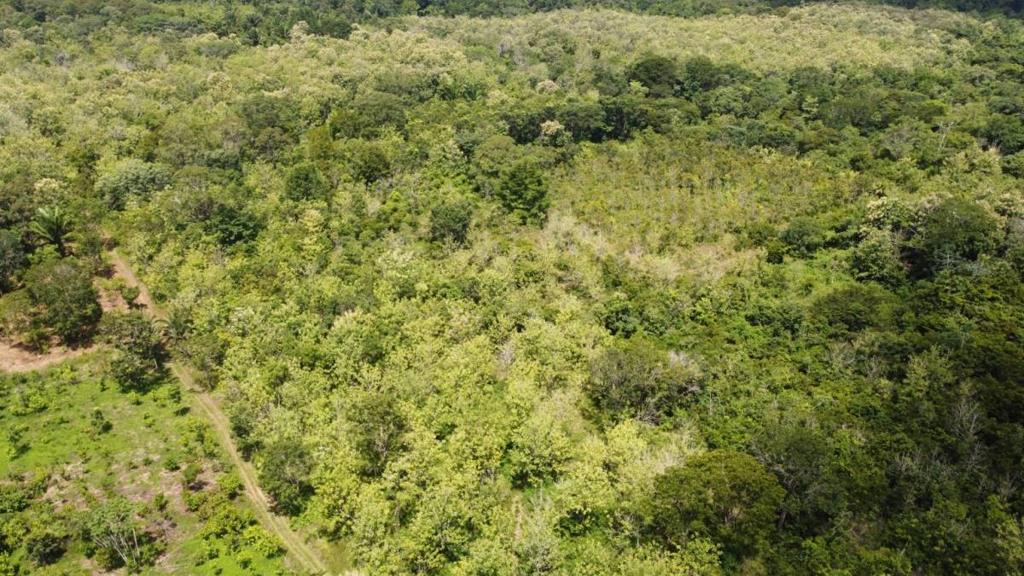 listing image with ID 64226