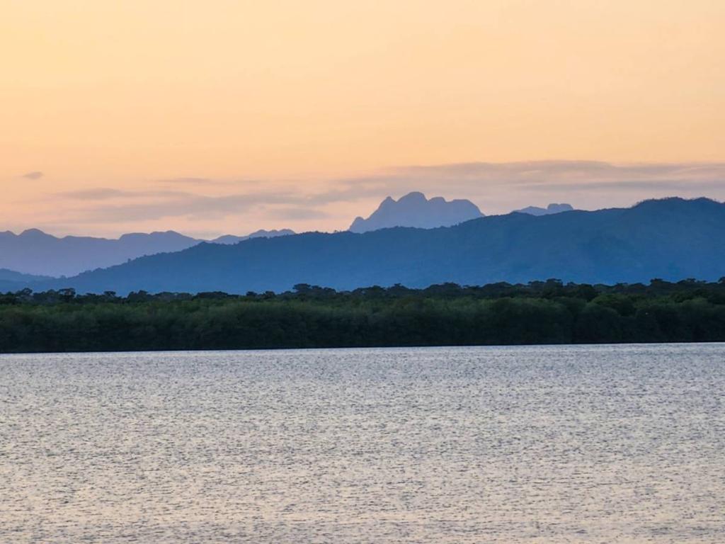 listing image with ID 66805