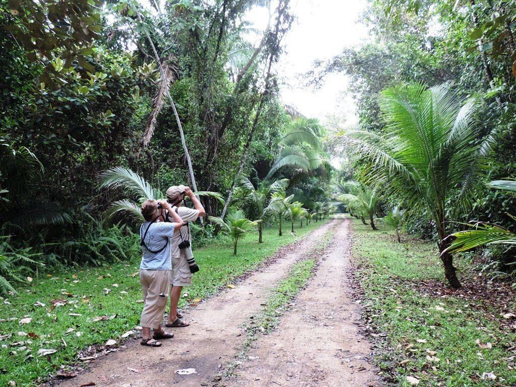 listing image with ID 65517