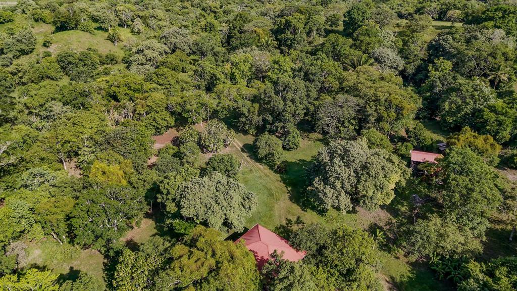 listing image with ID 68485