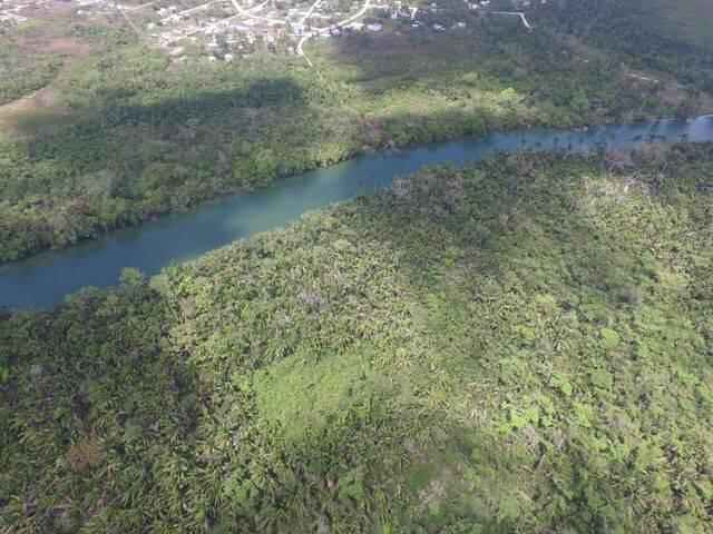 listing image with ID 63803