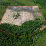 listing image thumbnail with ID 65288