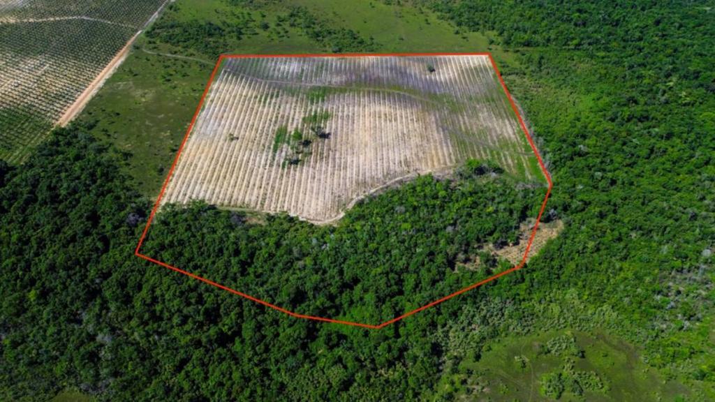 listing image with ID 65288