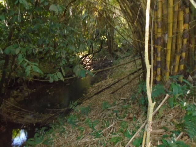 listing image with ID 64060