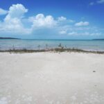 listing image thumbnail with ID 64419