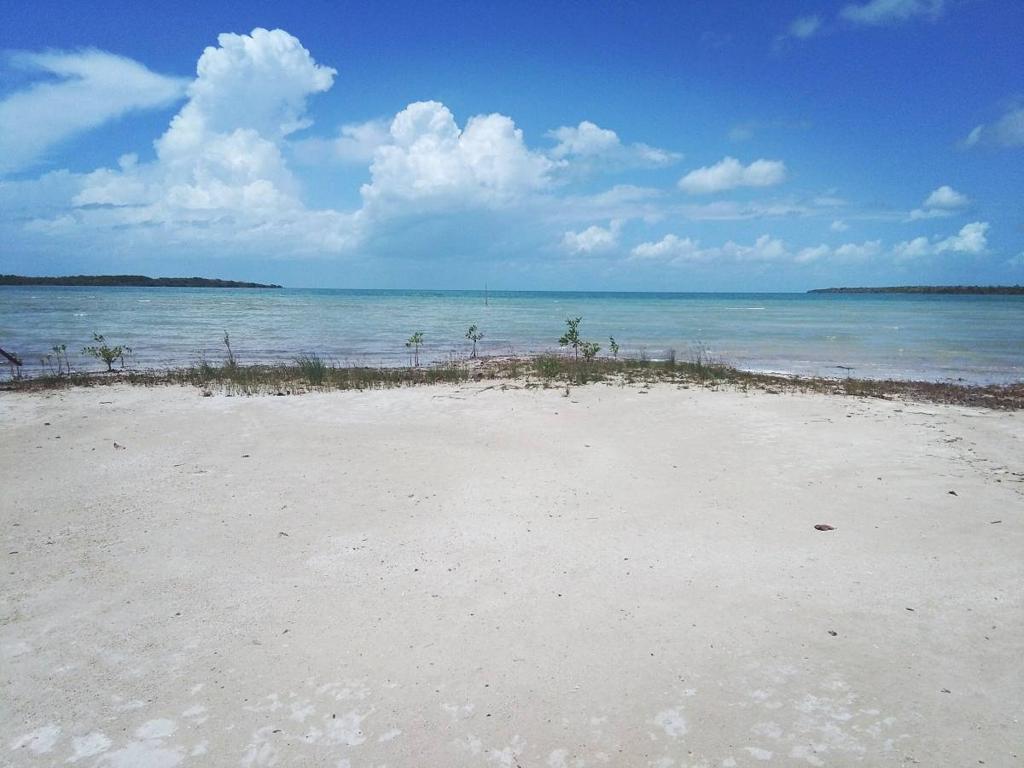 listing image with ID 64419