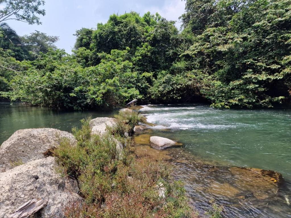 listing image with ID 66257