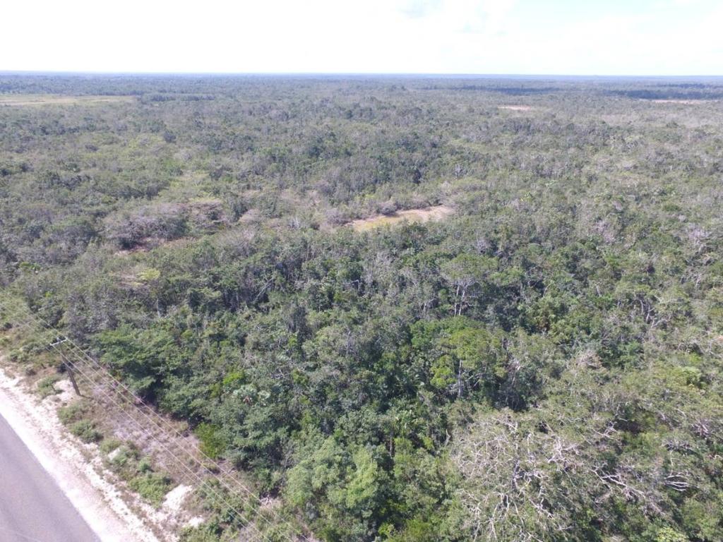 listing image with ID 64634