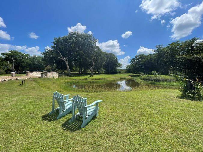 listing image with ID 67442