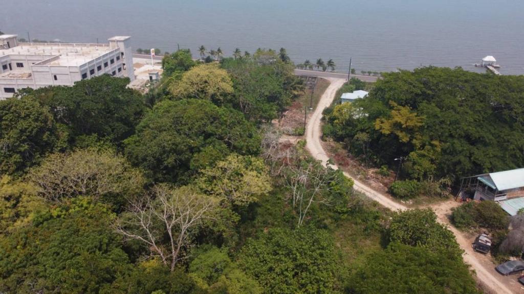 listing image with ID 65106