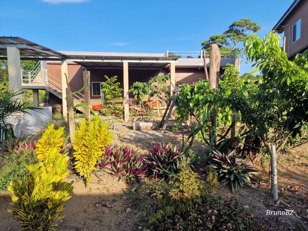 listing image with ID 64933