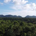 listing image thumbnail with ID 65544