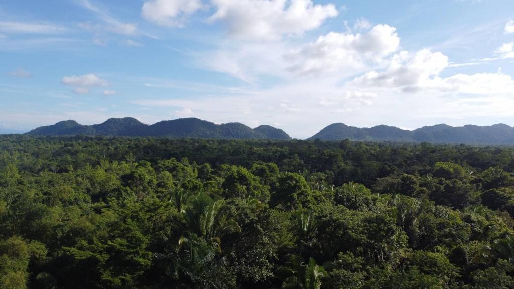 listing image with ID 65544