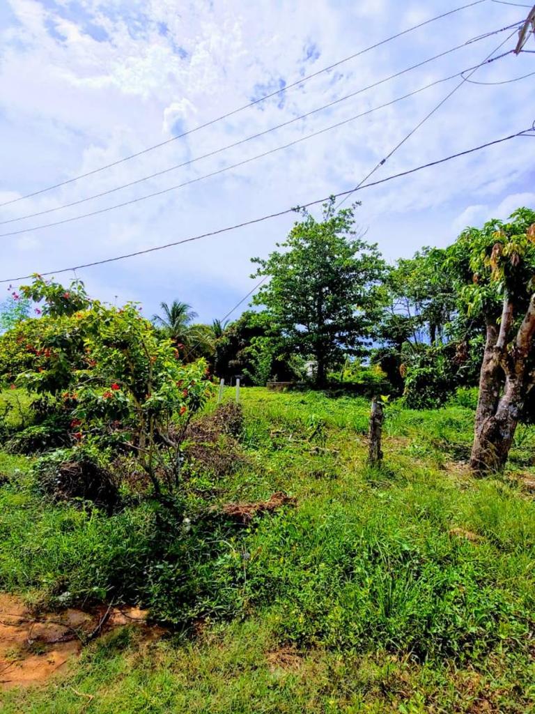 listing image with ID 64556