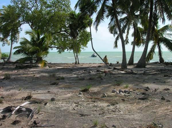 listing image with ID 68098