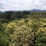 listing image thumbnail with ID 64216