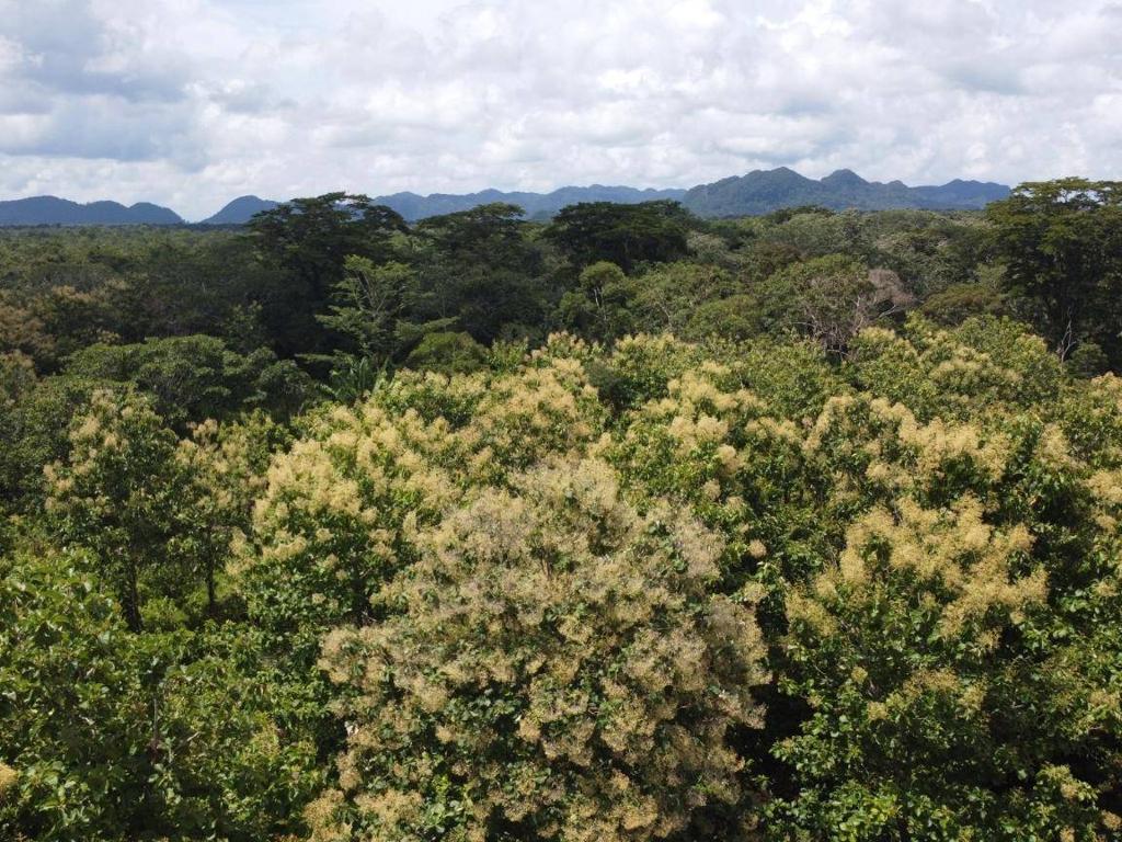 listing image with ID 64216