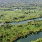 listing image thumbnail with ID 64187