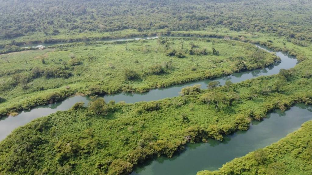 listing image with ID 64187