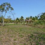 listing image thumbnail with ID 64455