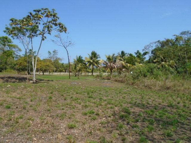 listing image with ID 64455