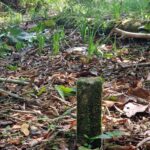 listing image thumbnail with ID 63963