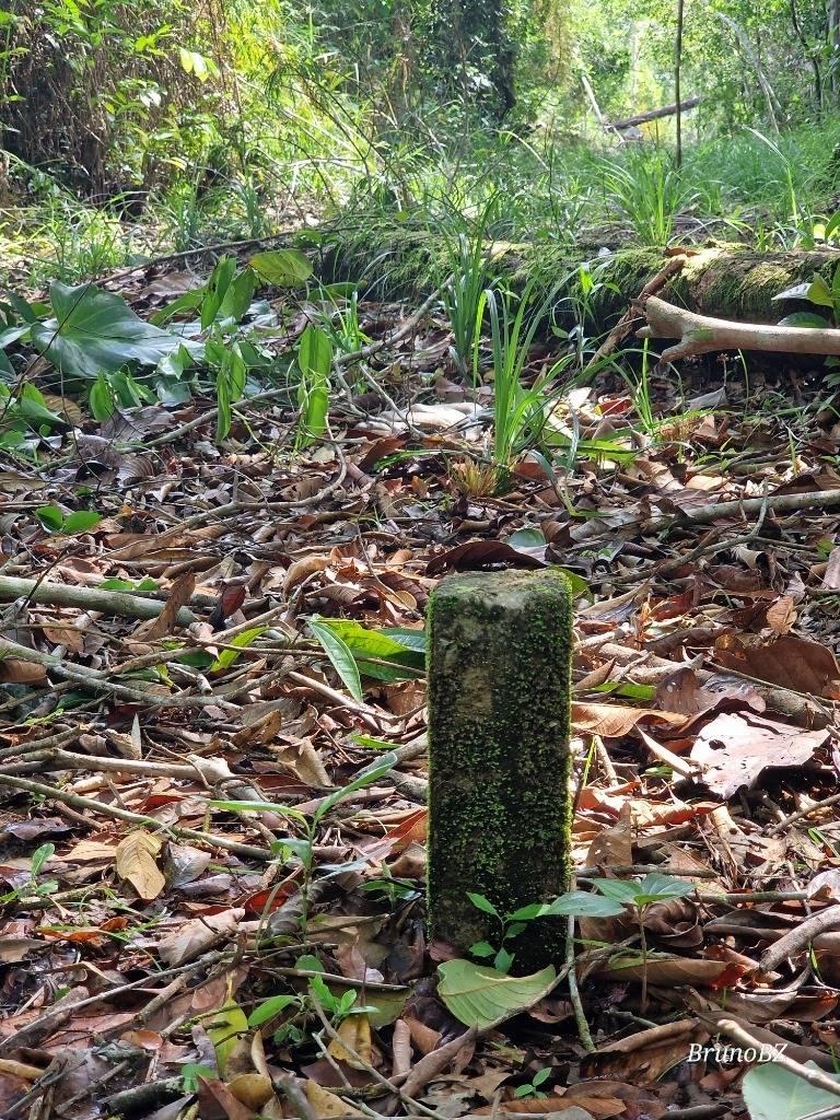 listing image with ID 63963