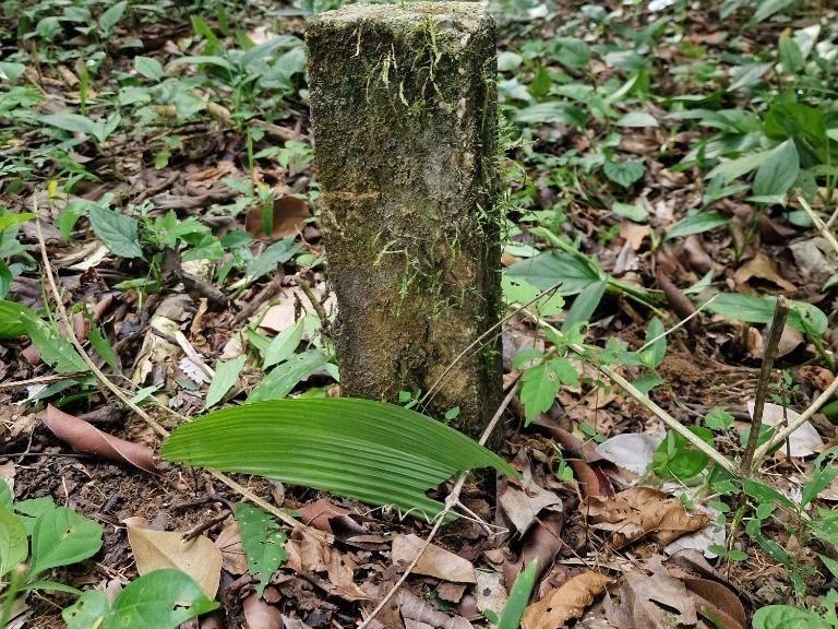 listing image with ID 67545