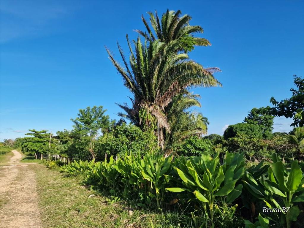 listing image with ID 67204