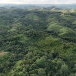 listing image thumbnail with ID 66893