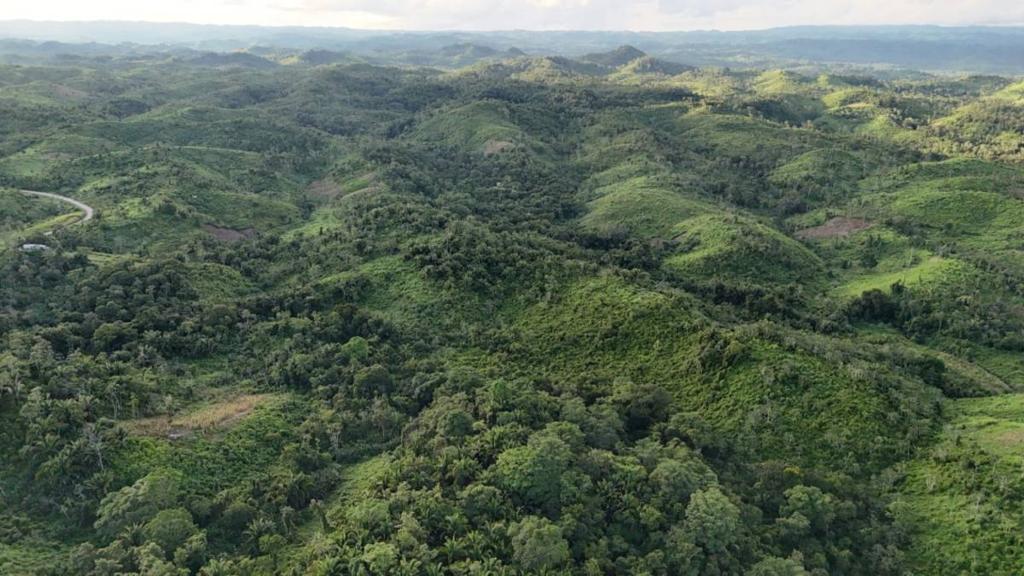 listing image with ID 66893