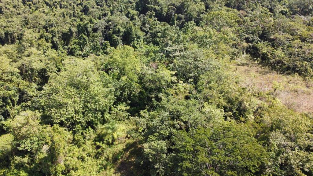 listing image with ID 64241