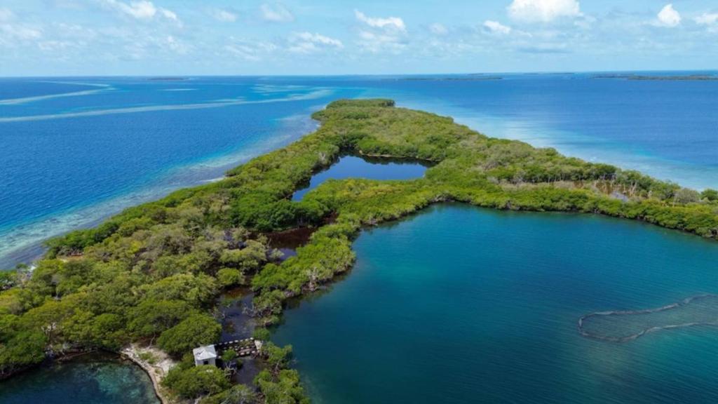 listing image with ID 66854