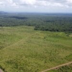 listing image thumbnail with ID 68127