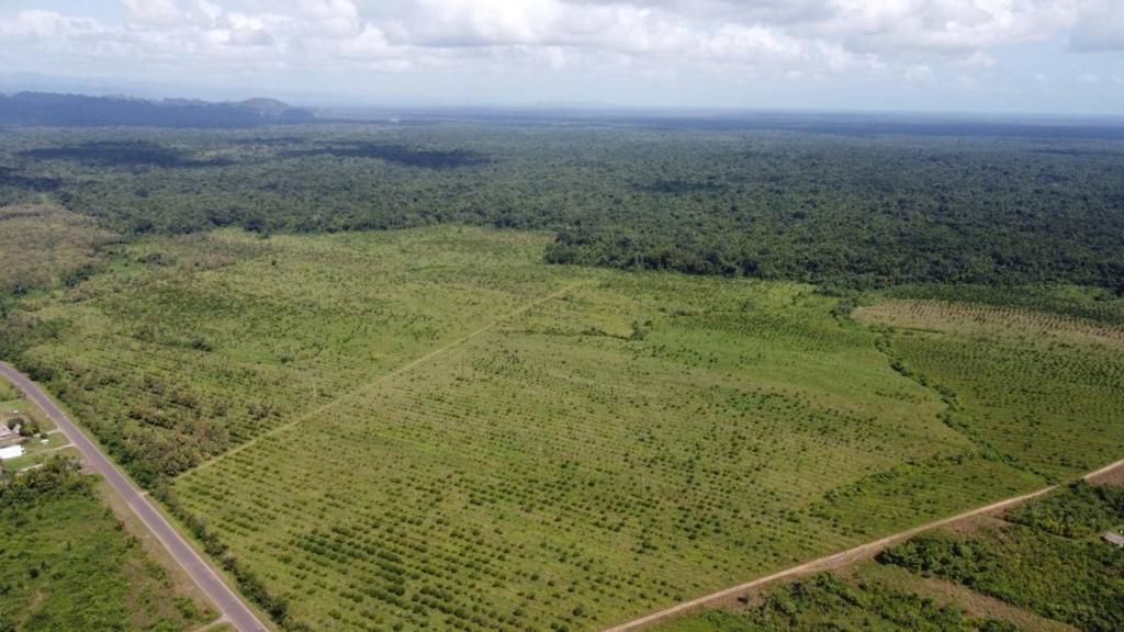 listing image with ID 68127