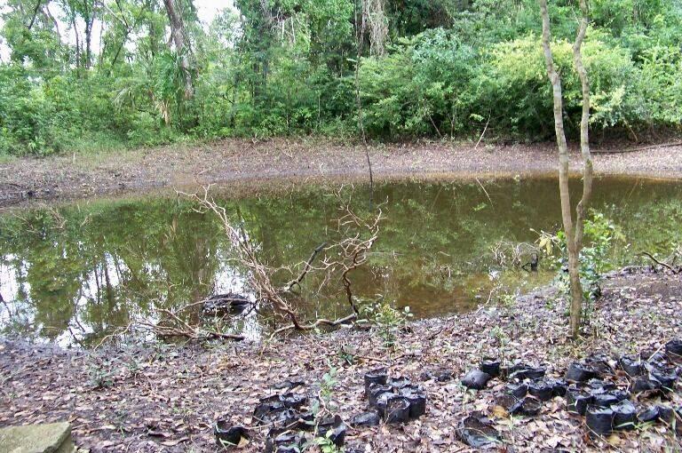 listing image with ID 69293