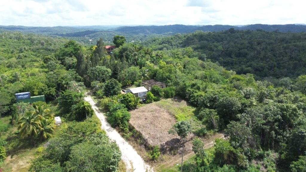 listing image with ID 65425