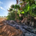 listing image thumbnail with ID 63860